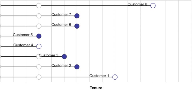 Eight horizontal lines for Customer 1-8 on Tenure axis with white, black end points. Lines for Customer 1-3, 6-8 have white points on vertical line in-between start, end points.