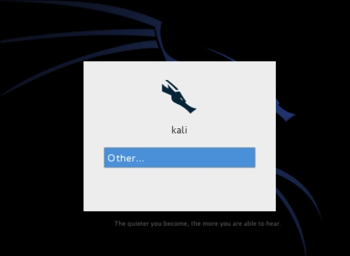 Kali Linux and VM image first run