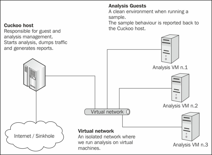 Cuckoo Sandbox