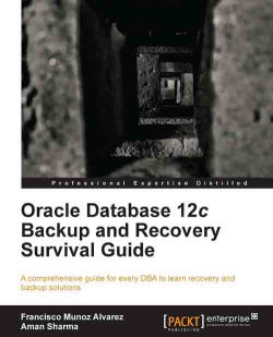Enable Archivelog Mode Oracle 12c