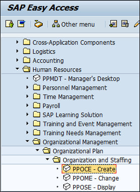 Organization and Staffing