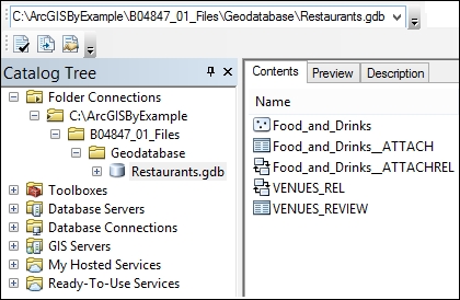 The ArcGIS geodatabase