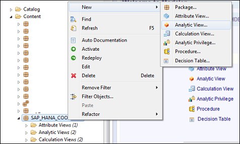 SAP HANA Cookbook