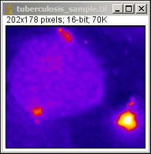 imagej pseudocolor