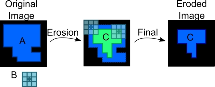 Morphological operators