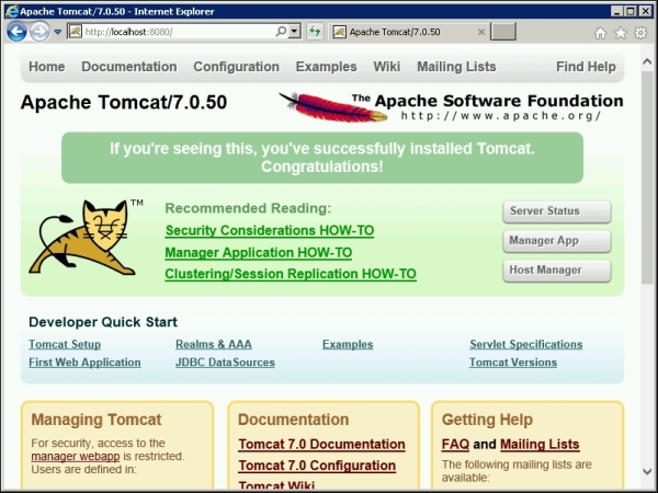 Configuring the Tomcat service