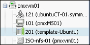 Introducing cloning using a template
