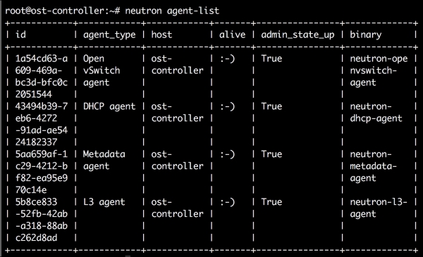Neutron services and agents