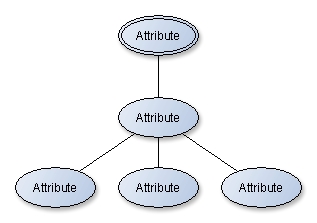 Entities, attributes, and keys