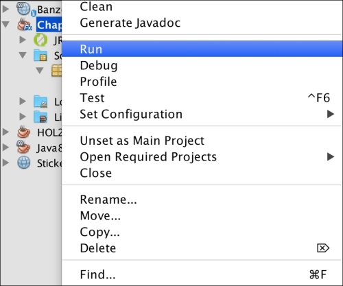 Using the Netbeans IDE