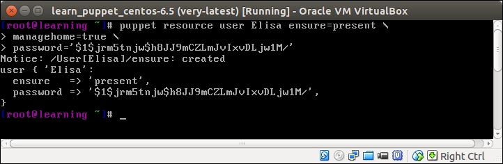 Use Puppet to examine the current state of resources