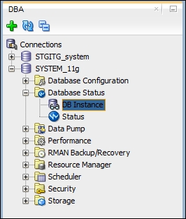 Database instance viewer