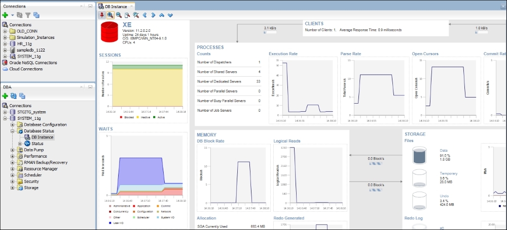 Database instance viewer