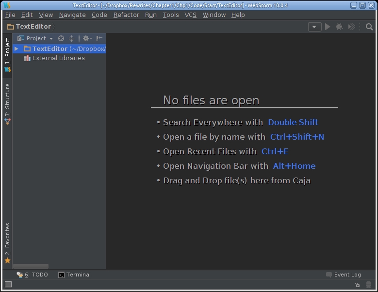 Introducing the WebStorm IDE