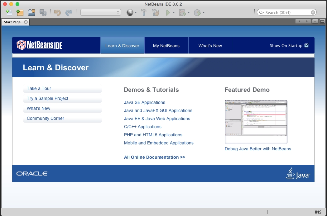 The NetBeans screen layout