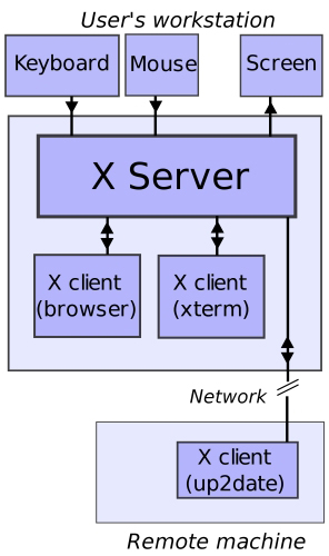 X Server