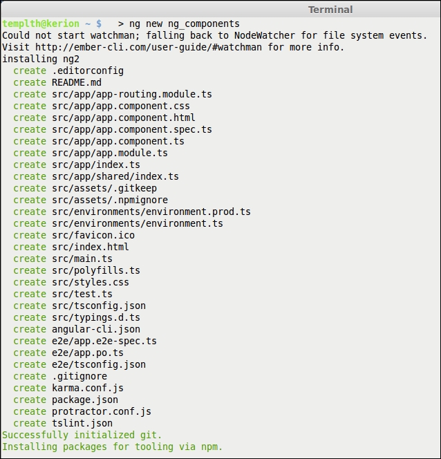 Generating an Angular 2 project