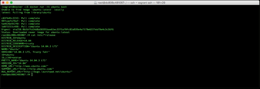 Running a virtual server