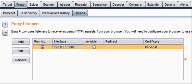 Burp Suite