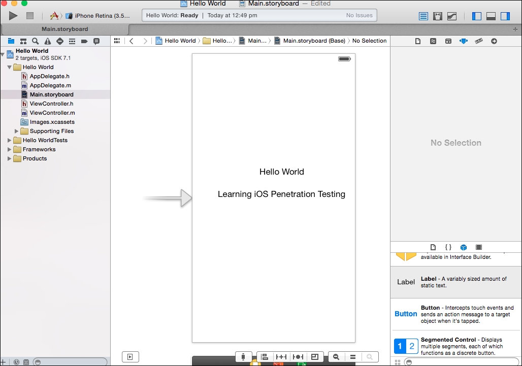 Developing your first iOS app