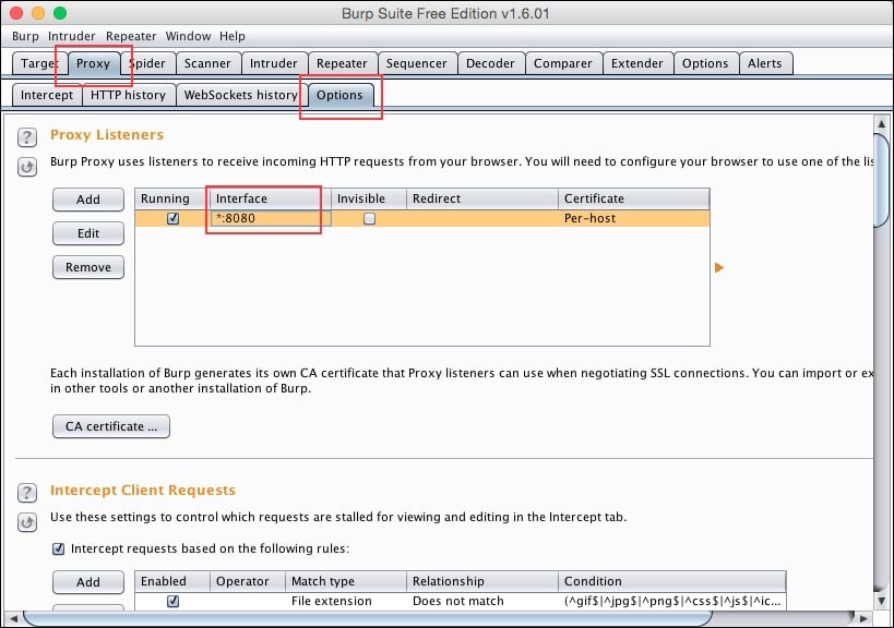 Intercepting traffic over HTTP