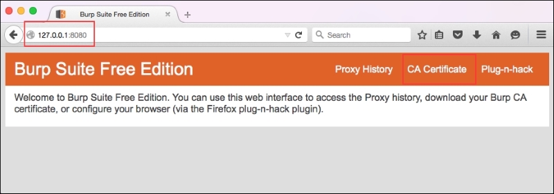 Intercepting traffic over HTTPS