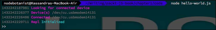 Using the REPL