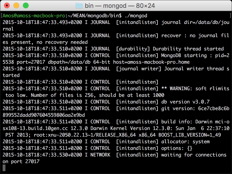 Installing MongoDB from binaries