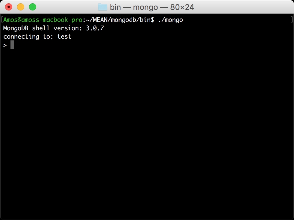 Using the MongoDB shell