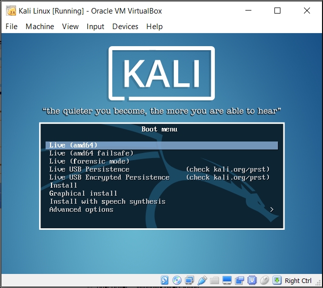 Setting up Kali Linux in virtual environment