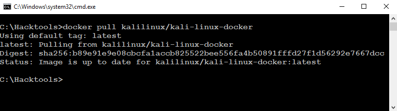 Install Kali Linux On Docker