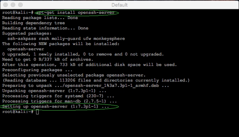 Setting up the SSH service