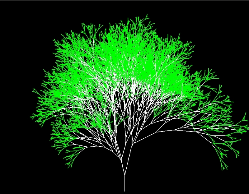 Drawing a binary fractal tree