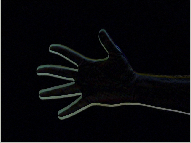 Motion detection and tracking