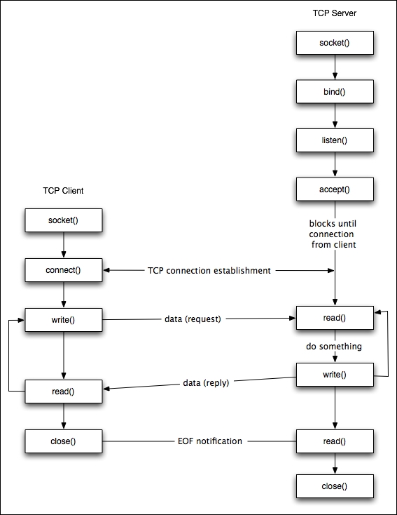 The architecture of TCP sockets