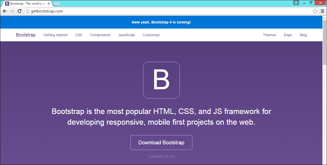 Bootstrap