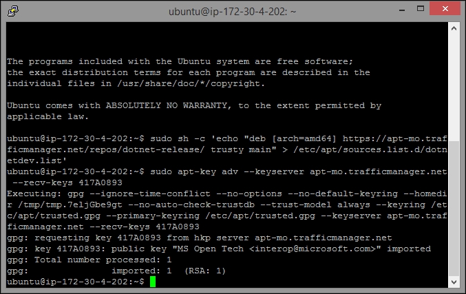 Installing of .NET Core in a Linux machine