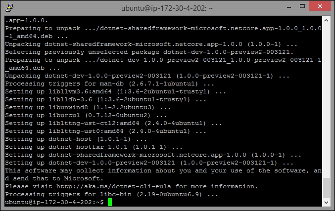 Installing of .NET Core in a Linux machine