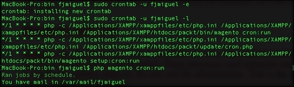 The Magento cron job