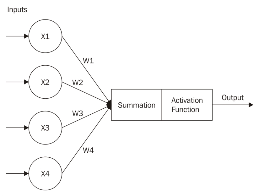 Neural Networks