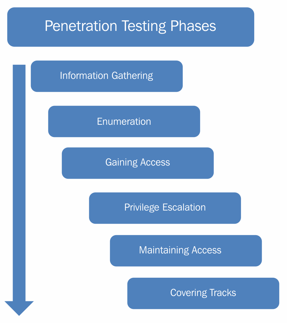 testing standards Network Vulnerability Assessment