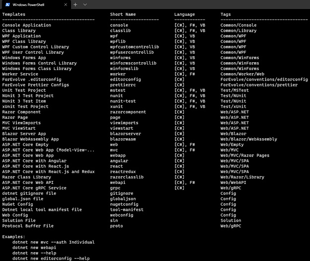 Figure 1.1 – Project templates 

