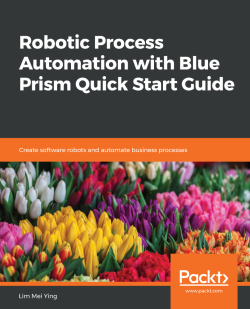 The process definition document | Robotic Process Automation with Blue ...