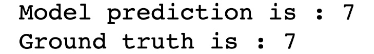 Figure 1.22 – PyTorch model prediction