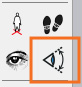 Figure 1.20 Field of View Button on the Large Tool Set Toolbar
