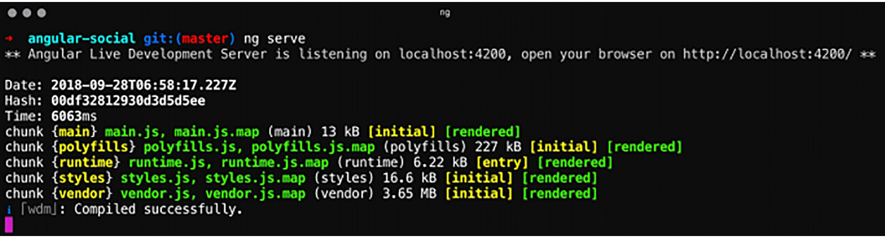 Figure 1.3: Serving the application