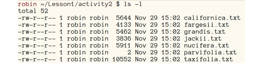 Figure 1.15: A screenshot of the expected listing of the activity2 folder
