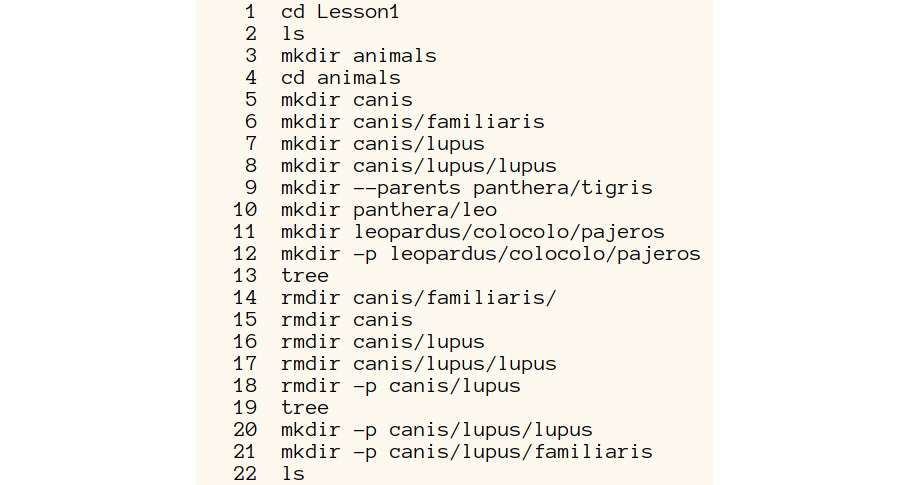 Figure 1.16: A screenshot of the output displaying the shell command history
