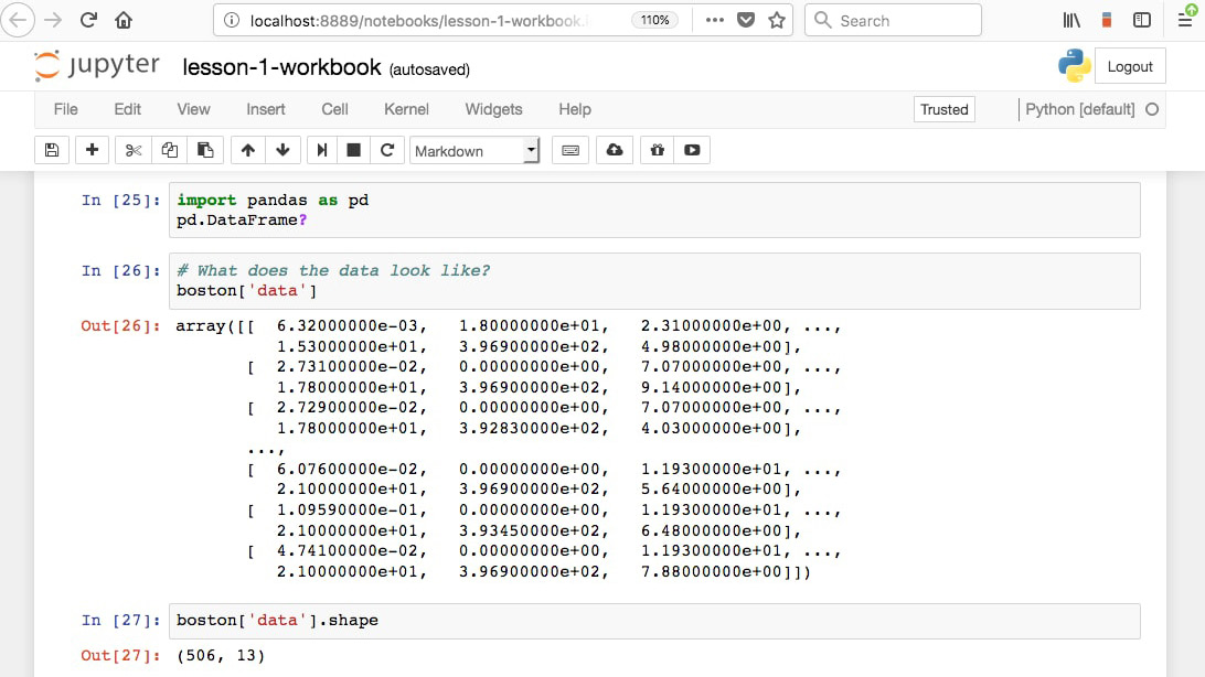 Figure 1.1: Jupyter Notebook sample workbook