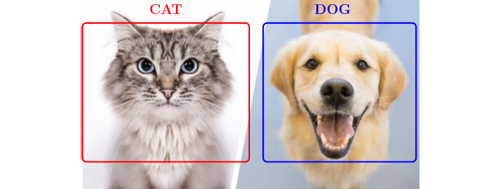 Figure 1.8: Cat and dog detection and classification